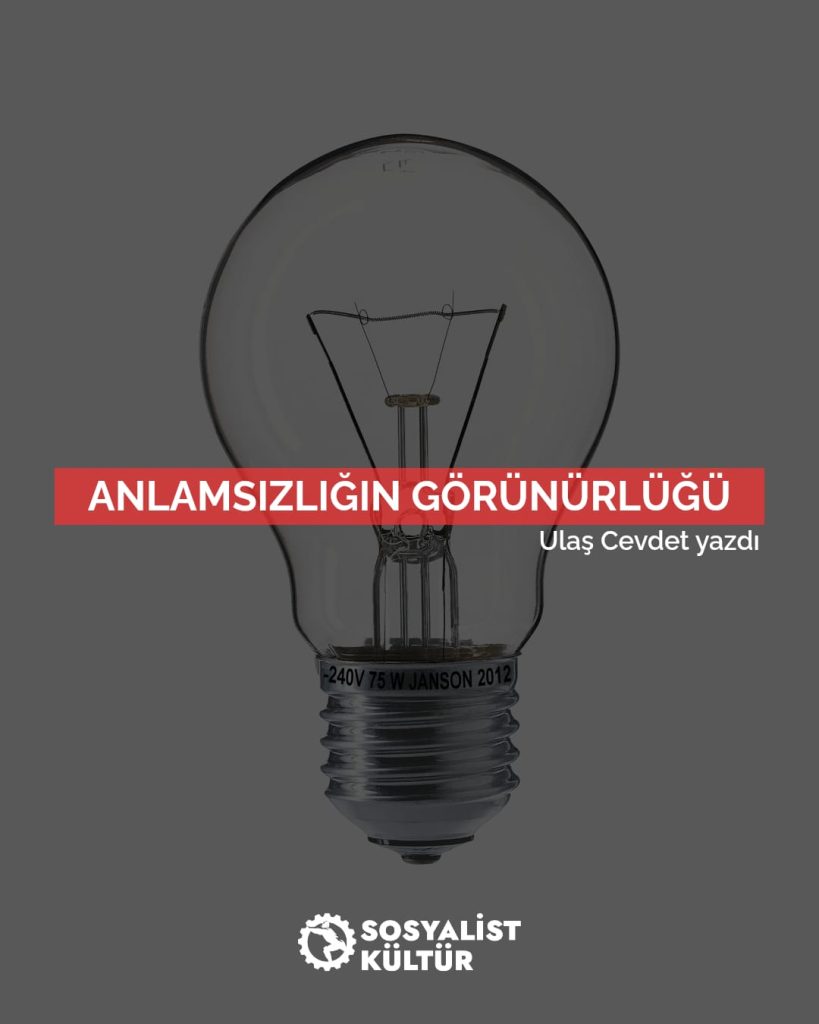Anlamsızlığın Görünürlüğü-Ulaş CEVDET