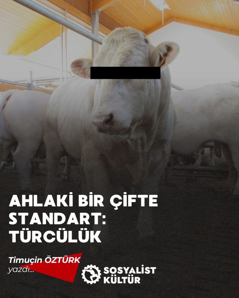 AHLAKİ BİR ÇİFTE STANDART: TÜRCÜLÜK